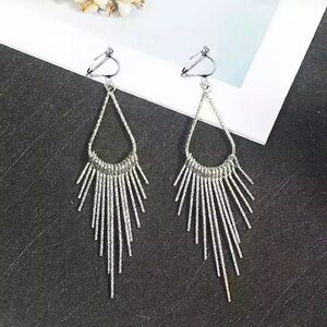 Chic Silver Fringe Earrings